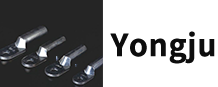 Wenzhou Yongju Electric Power Co., Ltd.